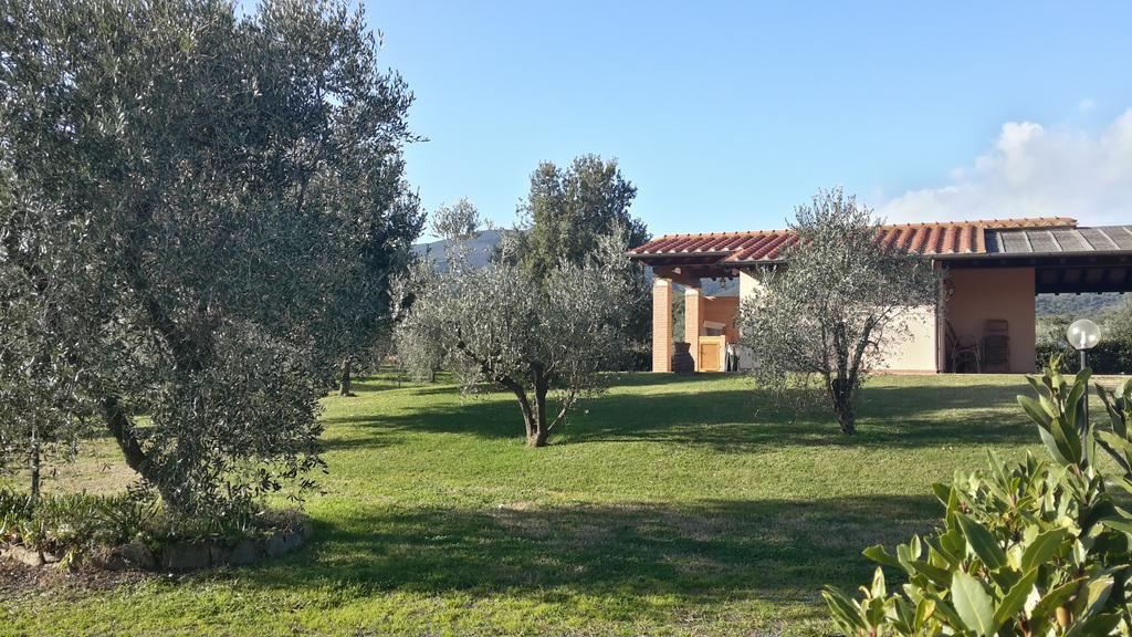 Agriturismo Casa Andreina Кастильоне-делла-Пеская Экстерьер фото