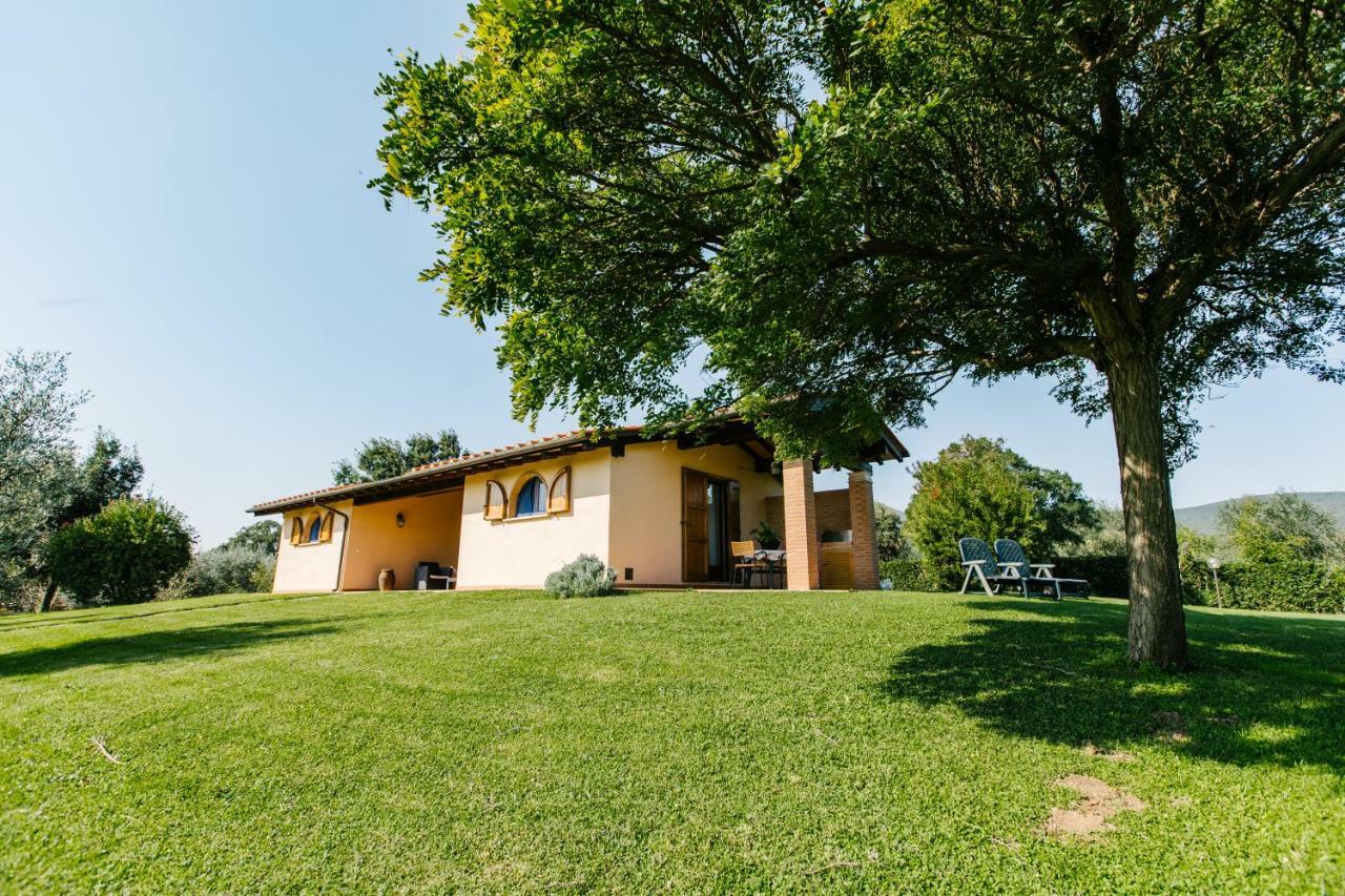 Agriturismo Casa Andreina Кастильоне-делла-Пеская Экстерьер фото