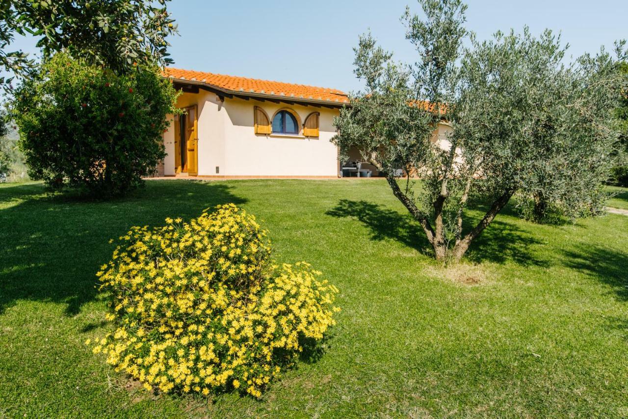 Agriturismo Casa Andreina Кастильоне-делла-Пеская Экстерьер фото